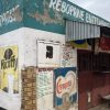 Government may have failed to uphold food safety standards: Gcaleka