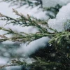 South Africans urged to brace for cold weekend