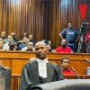 Teffo disrupts Matlala trial as court demands proof he can represent accused