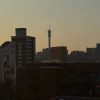 YNews Elections Build-up | First-time Joburg voters call for greater transparency ahead of local elections