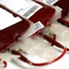 Government welcomes Jehovah’s Witnesses’ ‘change of heart’ on blood transfusions